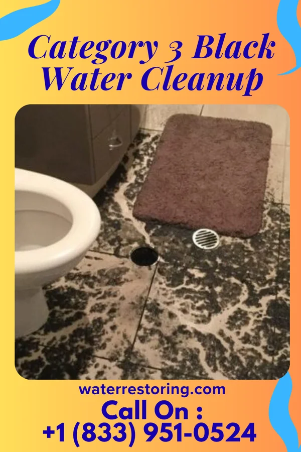 Category 3 Black Water Cleanup in Pageland, SC