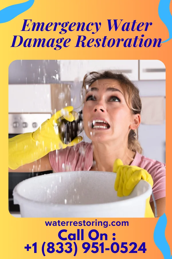 Emergency Water Damage Restoration in Pageland, SC