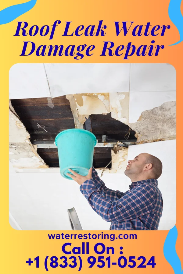 Roof Leak Water Damage Repair in Pageland, SC