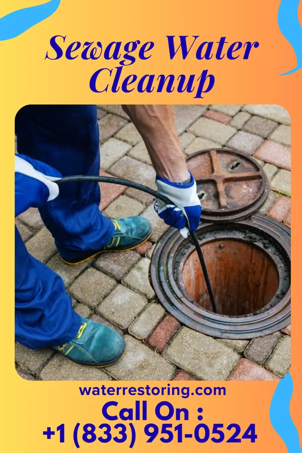 Sewage Water Cleanup in Pageland, SC